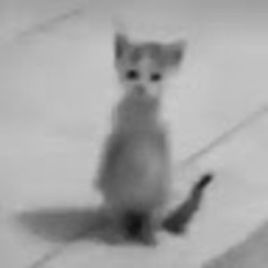 Meet your Posher, Carmen